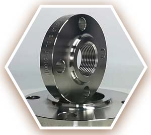 Alloy 2205 threaded flange