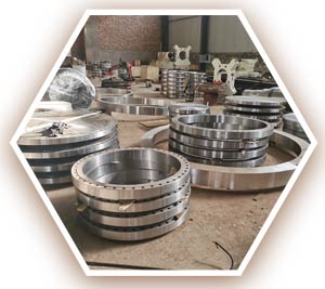 ASME SB564M UNS N10276 large diameter flanges ASME SB564M UNS N10276 large diameter flanges