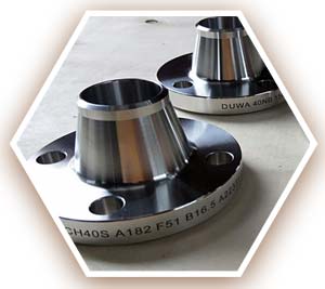DDS Weld Neck Flange